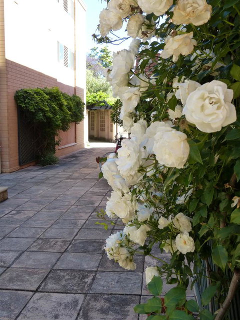 Monaco Court Apartment Adelaide - Winery Find 19