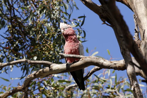 Cape Jervis Holiday Units - Winery Find 5