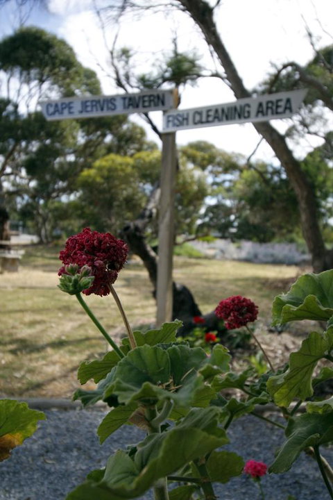 Cape Jervis Holiday Units - Winery Find 13