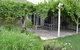 Tin House In Tanunda - thumb 9