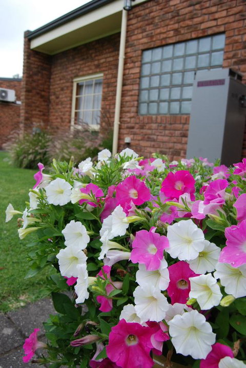 Arkana Motor Inn & Terrace Apartments - Winery Find 40