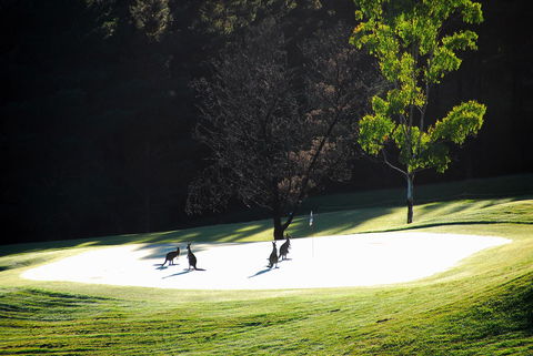 SkyView Villa - Winery Find 3