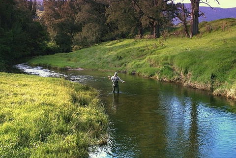 SkyView Villa - Winery Find 17