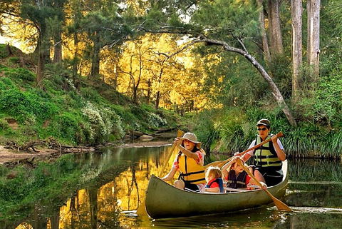 SkyView Villa - Winery Find 19