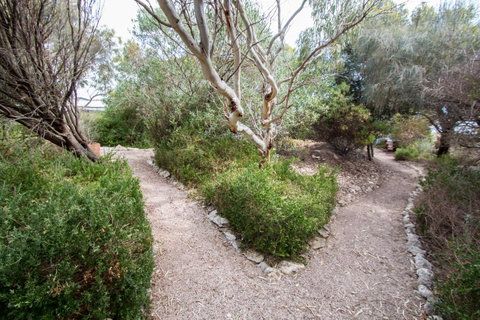 Coorong Waterfront Retreat - Winery Find 19