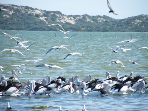 Coorong Waterfront Retreat - Winery Find 25