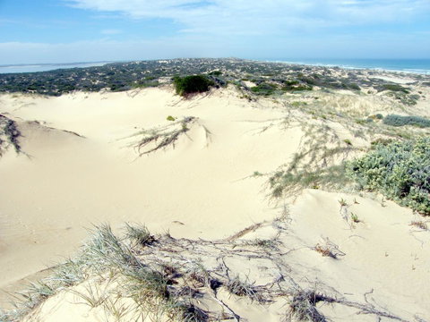 Coorong Waterfront Retreat - Winery Find 32