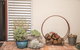 Mataro Cottage - thumb 32