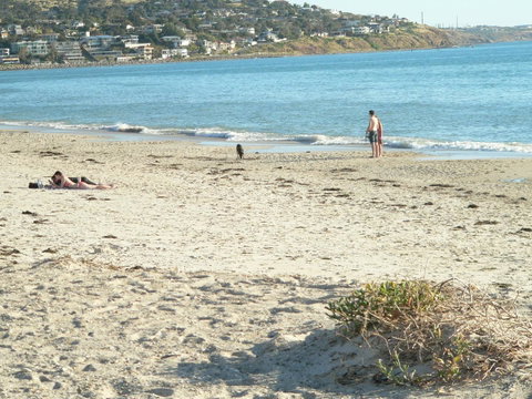 Brighton Beach House - Winery Find 12