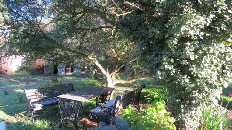 The Pig And Whistle - Winery Find 14
