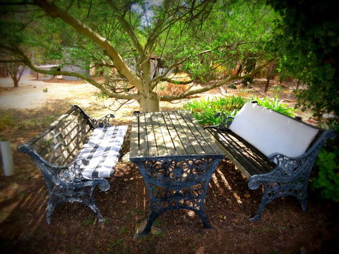 The Pig And Whistle - Winery Find 6