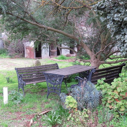 The Pig And Whistle - Winery Find 1