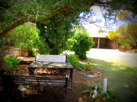 The Pig And Whistle - Winery Find 5