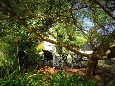 The Pig And Whistle - Winery Find 4