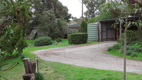 The Pig And Whistle - Winery Find 15