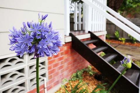 Hudson Bay @ Basin View-Pet Friendly-15 Mins To Hyams Beach - Winery Find 38