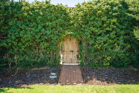 Mick O\'Sheas - Winery Find 32