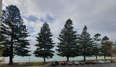 Pier Hotel Port Lincoln - Winery Find 12