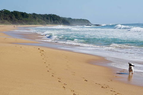 Culburra Beachhouse - Winery Find 7