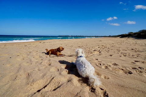 Culburra Beachhouse - Winery Find 8