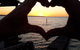 Meningie Waterfront Motel - thumb 31