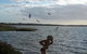 Meningie Waterfront Motel - thumb 33