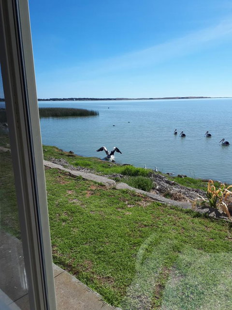 Meningie Waterfront Motel - Winery Find 32