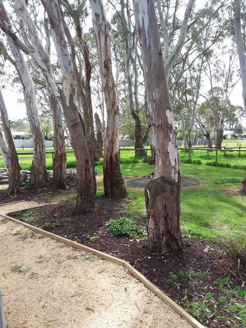 Cloisters Of Kalangadoo - Winery Find 6