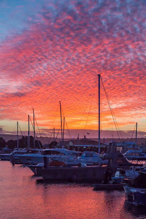 Marina Reflections - Winery Find 12