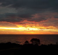 South Shores - Winery Find