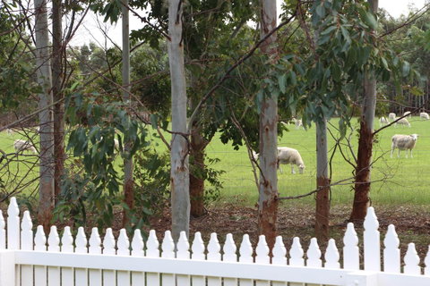 Sapphire Chalets, Augusta - Winery Find 9