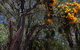 Sapphire Chalets, Augusta - thumb 12