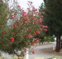 The Heights Bed  Breakfast - Winery Find