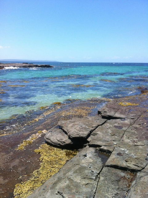 Jetz Bungalow - Winery Find 9