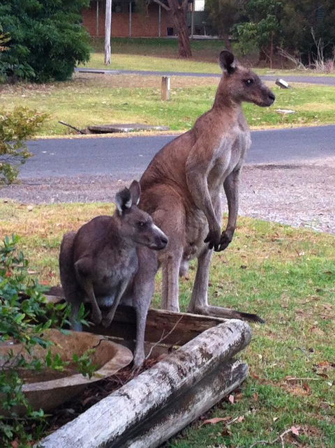 Jetz Bungalow - Winery Find 13