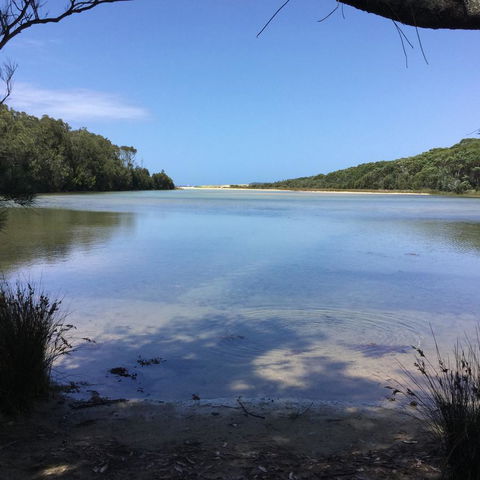 Jetz Bungalow - Winery Find 5