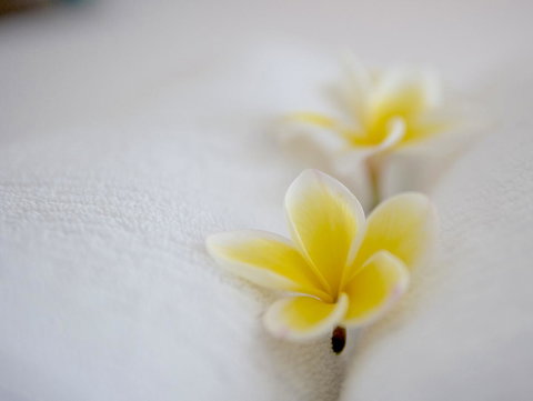 Cossies By The Sea - Winery Find 16