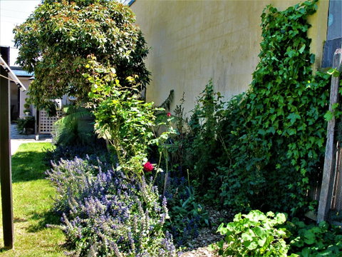 Apple Tree Cottage - Winery Find 24