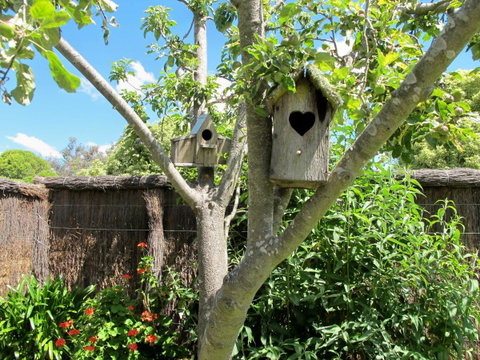 Apple Tree Cottage - Winery Find 28