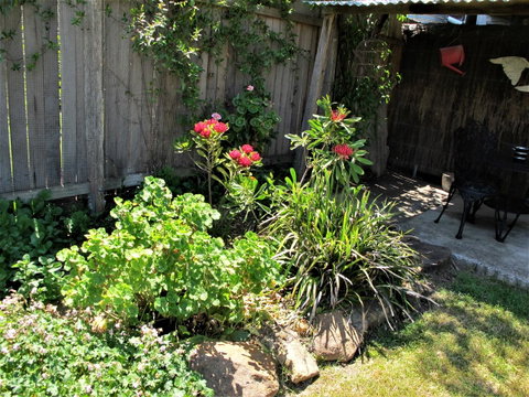 Apple Tree Cottage - Winery Find 26