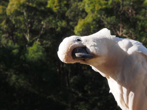 Bundle Hill Cottages - Winery Find 1
