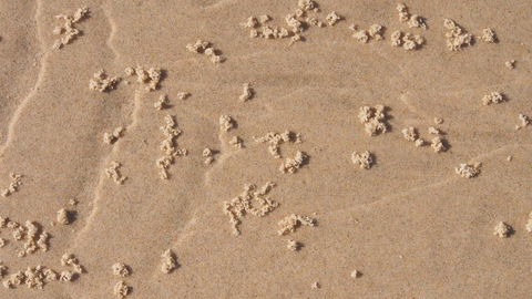 Bundle Hill Cottages - Winery Find 4