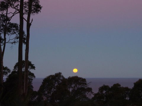 Bundle Hill Cottages - Winery Find 36