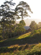 Book Bawley Point Accommodation Winery Find Winery Find