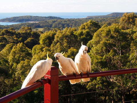 Bundle Hill Cottages - Winery Find 2