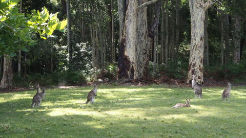 Bundle Hill Cottages - Winery Find 15