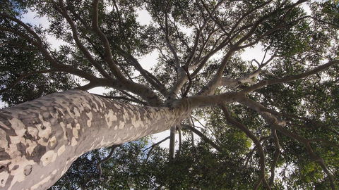 Bundle Hill Cottages - Winery Find 20