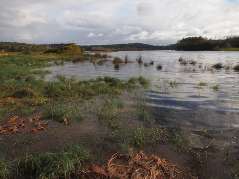 Bundle Hill Cottages - Winery Find 31