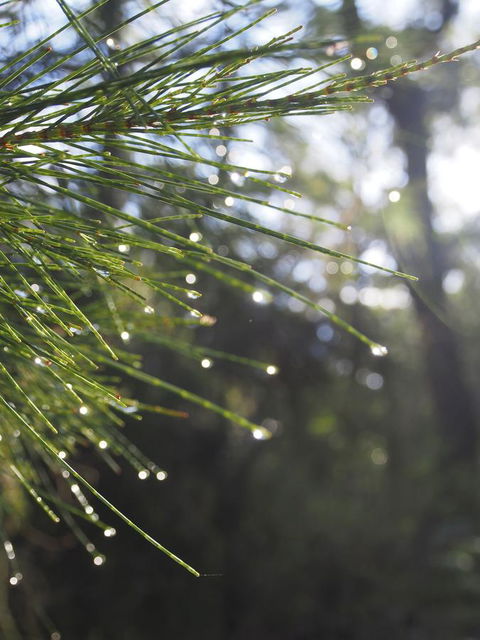 Bundle Hill Cottages - Winery Find 5