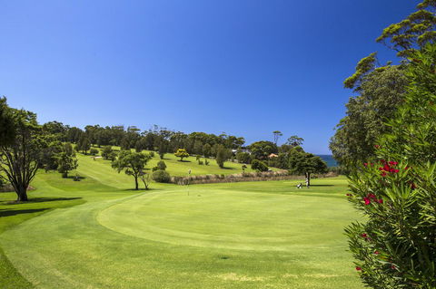 Beachfront 2 - Winery Find 1